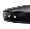 Sidepull F.R.A. Glory black PONY
