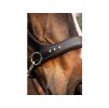Sidepull F.R.A. Glory black PONY