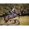 Sidepull F.R.A. Glory black PONY