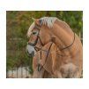 Sidepull F.R.A. Glory brown PONY