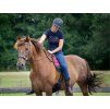 Sidepull F.R.A. Glory brown PONY