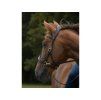Sidepull F.R.A. Glory brown PONY
