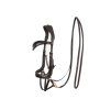 Sidepull F.R.A. Glory brown PONY