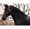 Sidepull F.R.A. Pardoes de luxe black/beige SHETTY