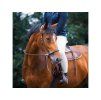 Sidepull F.R.A. Dandy havana PONY