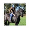 Sidepull F.R.A. Flandy cognac COB