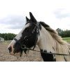 Sidepull F.R.A. Pardoes black FULL