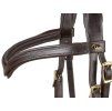 Sidepull F.R.A. Aruba black COB