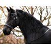 Sidepull  F.R.A. Pardoes de luxe black/grey COB