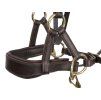 Sidepull F.R.A. Aruba brown PONY