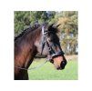 Sidepull F.R.A. Aruba brown PONY