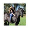 Sidepull F.R.A. Flandy black COB