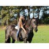 Sidepull F.R.A. Diego natural PONY