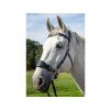 Hackamore nánosník F.R.A. Fiore včetně ramen black COB