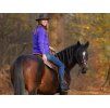 Hackamore uzdečka F.R.A. Caval brown FULL