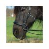 Hackamore uzdečka F.R.A. Calli black COB