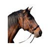 Sidepull F.R.A. Pardoes brown COB