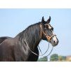 Sidepull F.R.A. Shango natural PONY