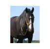 Sidepull F.R.A. Shango natural PONY