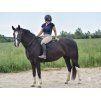 Obnosek - nánosník THINLINE black COB