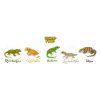 BIOGECKO FOOD Banana & Mango with Insects 100g