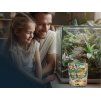BIOGECKO FOOD Banana & Mango with Insects 100g