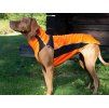 Obleček BACK ON TRACK Eddie High Visibility oranžový 70cm