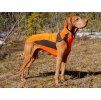 Obleček BACK ON TRACK Eddie High Visibility oranžový 70cm
