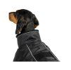 Obleček BACK ON TRACK Buddy 2.0 Thermal HighTail černý 44cm