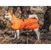 Obleček BACK ON TRACK Bay Rain HighTail oranžový 65cm
