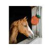 Hračka pro koně HIPPOTONIC Apple red