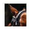 Terapeutická maska HORSEWARE Ionic black (S)