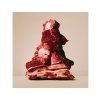 CARNILOVE Cat True Fresh Beef Large Breeds 400g