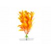 Rostlina JK Orange Ludwigia 13-16cm