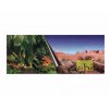 Akvarijní pozadí DUVO+ oboustranné Jungle/Desert 120x50cm