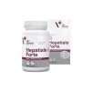 VETEXPERT Hepatiale Forte Small Breed&Cats (40tbl)  (Twist Off)