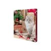 Vánoční adventní kalendář TRIXIE pro kočky 380g (DOPRODEJ)
