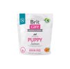 BRIT CARE Dog Grain-free Puppy 1kg