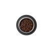 LEONARDO Adult Fish 300g