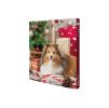 Vánoční adventní kalendář TRIXIE pro psy 380g (DOPRODEJ)