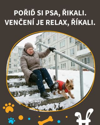 Co u vás – kdo klouže víc? Vy nebo pes? 😅🐾 #snih #zima #mameradipsy