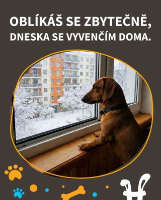 Kde dneska venčíte vy? 😄❄️ #snih #zima #mameradipsy