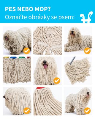 Kdo máte doma mop? 😅 Pošlete nám jeho fotku 📸🐾