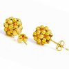 Yellow Berries big 2