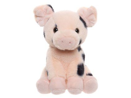 Spotted Pig CC25114K