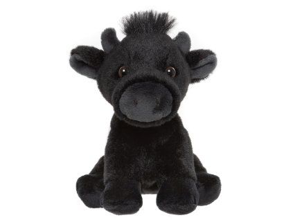 Belted Galloway Cow CC25114G