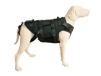 64368314a9526pes.png.2