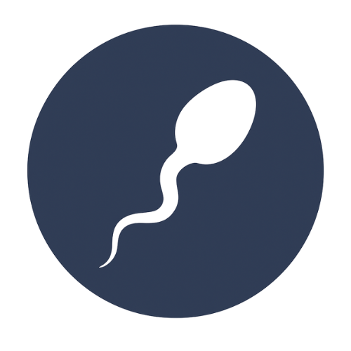 Zlepšuje kvalitu<br>spermií