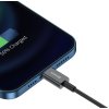 Baseus CALYS-C01 Superior Fast Charging Datový Kabel USB to Lightning 2.4A 2m Black (Pošk. Balení)