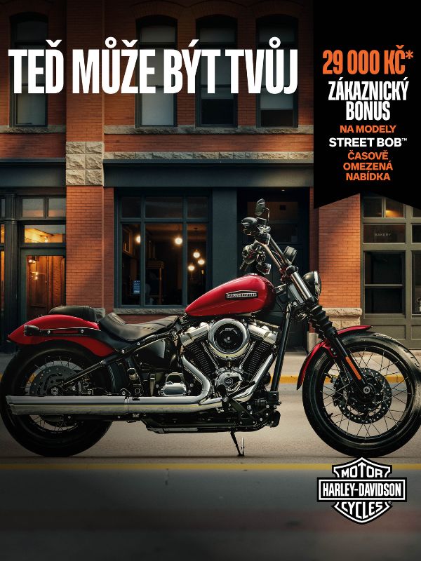 Street Bob